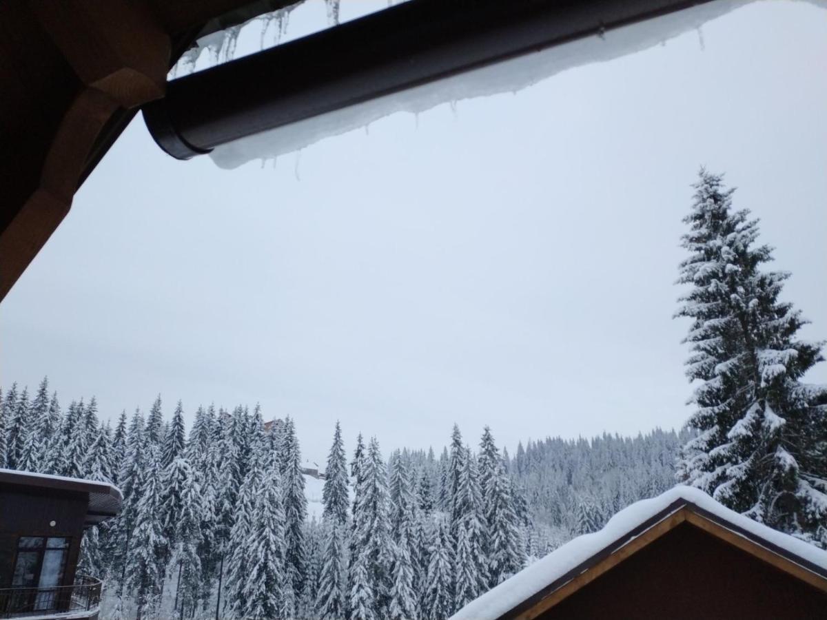 Садиба Mishel Jablunytsja Exteriör bild