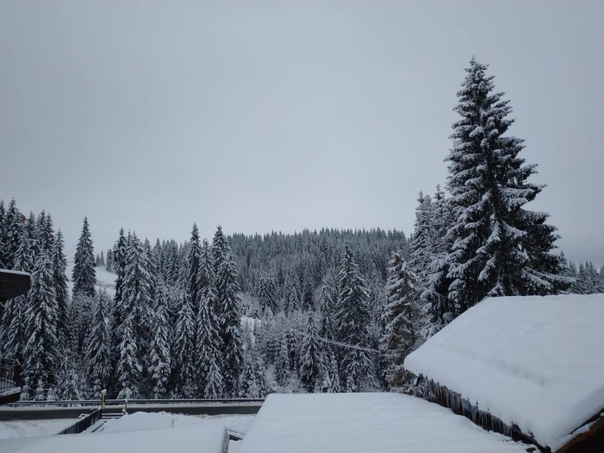 Садиба Mishel Jablunytsja Exteriör bild